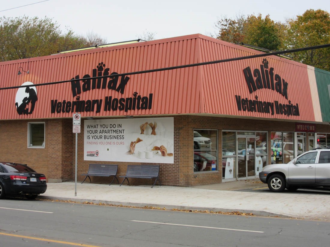 Interior FitUp of the Halifax Veterinary Hospital